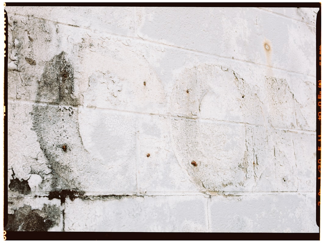 Flood Cleanup service in Milpitas, CA