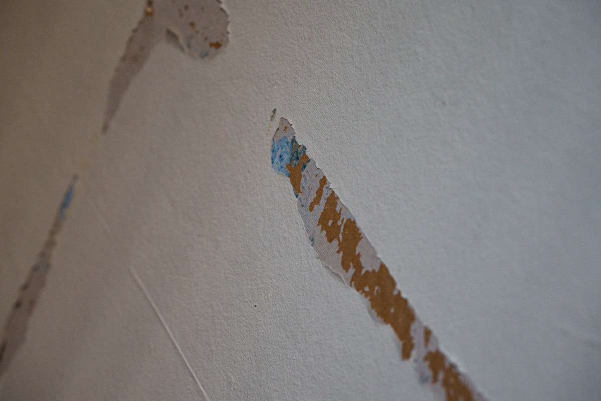 Structural Drying service in Milpitas, CA